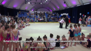 Благотворительный турнир по художественной гимнастике
